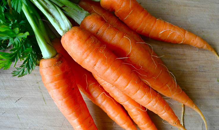 Польза морковки для организма