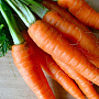 Польза морковки для организма